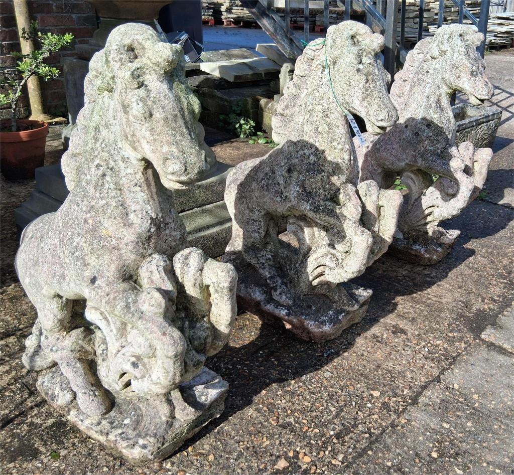Horses