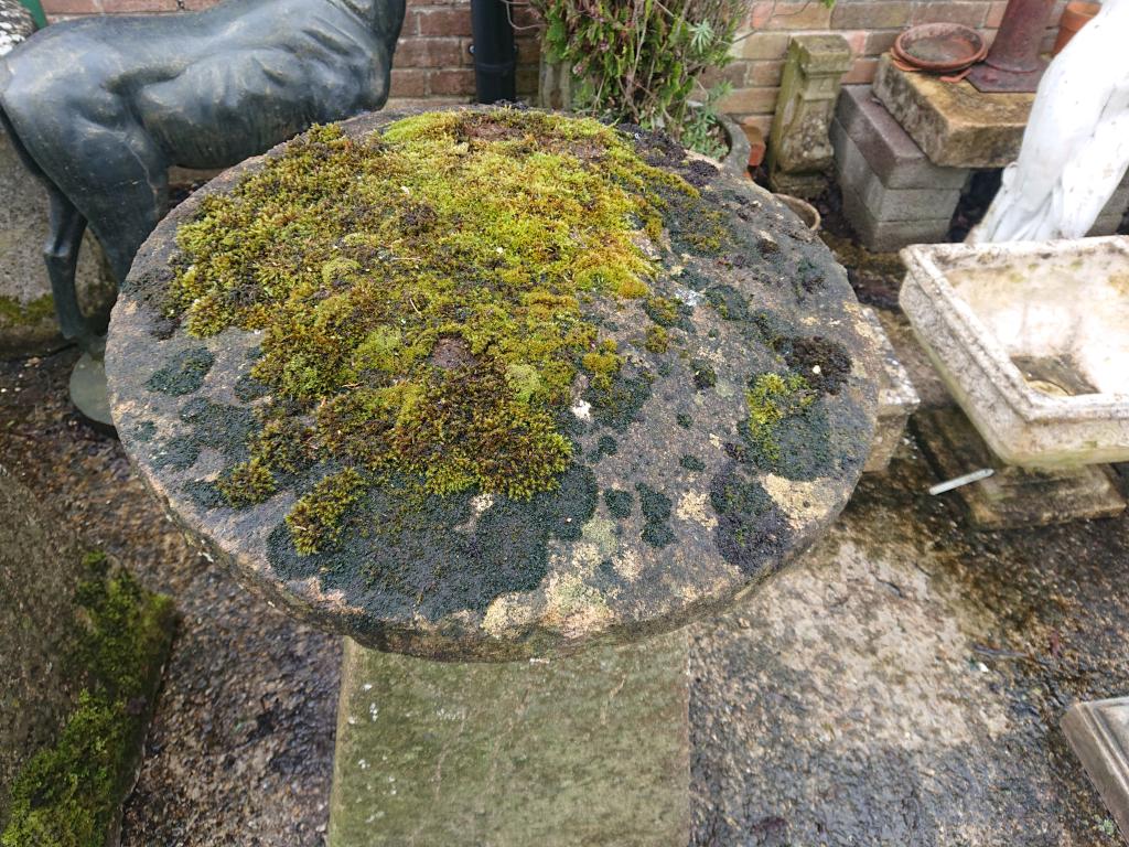 <p>2 large original Staddle stones</p><p>1. 83 cm tall 60 cm wide top</p><p>2. 90 cm tall 60 cm wide top