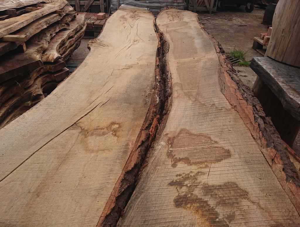 Live edge Oak slabs